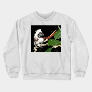 Cotton-top Tamarin Crewneck Sweatshirt